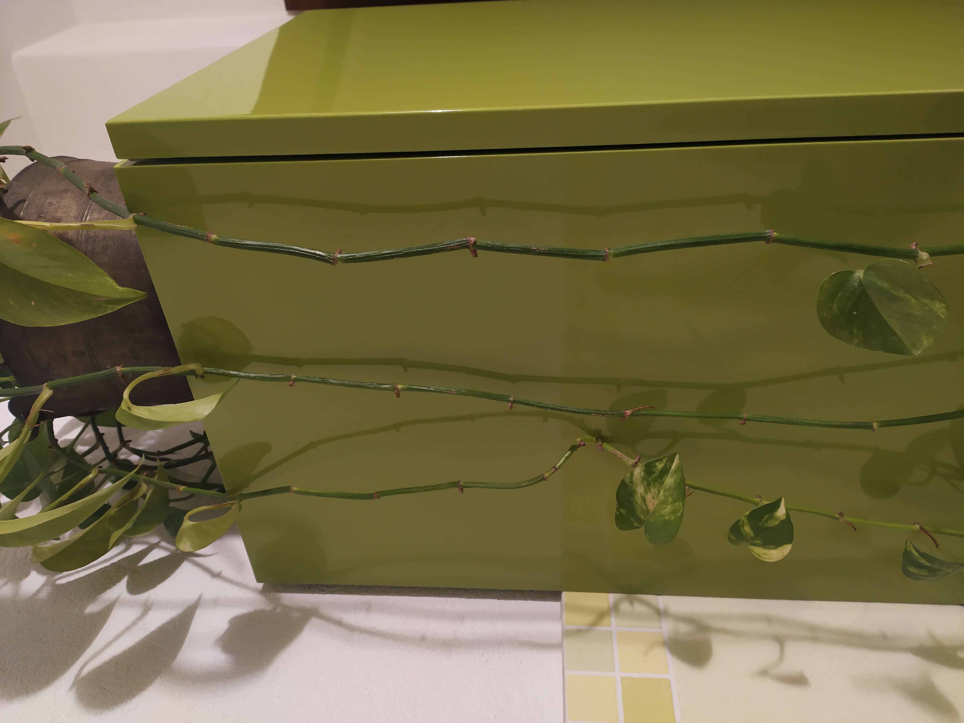 16430459556792048223373517963114.jpg