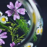 accqua di san giovanni