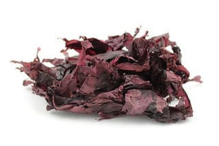 alga dulse nell'alimentazione