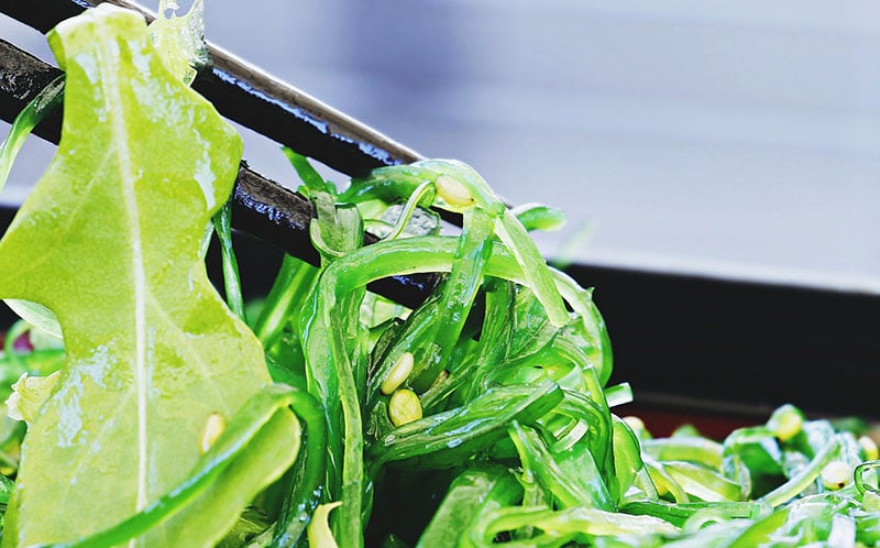 piatto con alga wakame