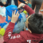 attivita bambini ortolandia