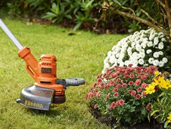 decespugliatore per bordi