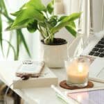piante da ufficio