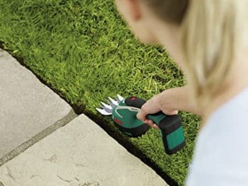 tagliabordi elettrico