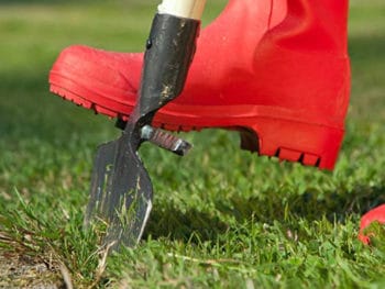 tagliabordi a mezzaluna