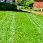 tagliare bordi del giardino