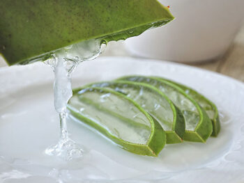 utilizzo dell'aloe
