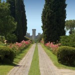 viale delle rose sigurtà