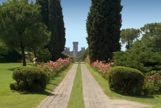 viale delle rose sigurtà
